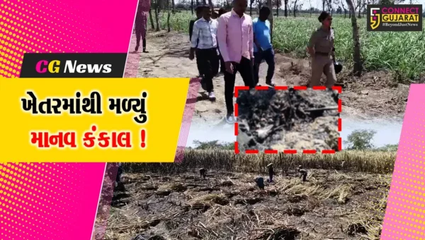 અંકલેશ્વર: બાકરોલ ગામે શેરડીના ખેતરમાંથી માનવ કંકાલ મળી આવ્યું, પોલીસ તપાસ શરૂ