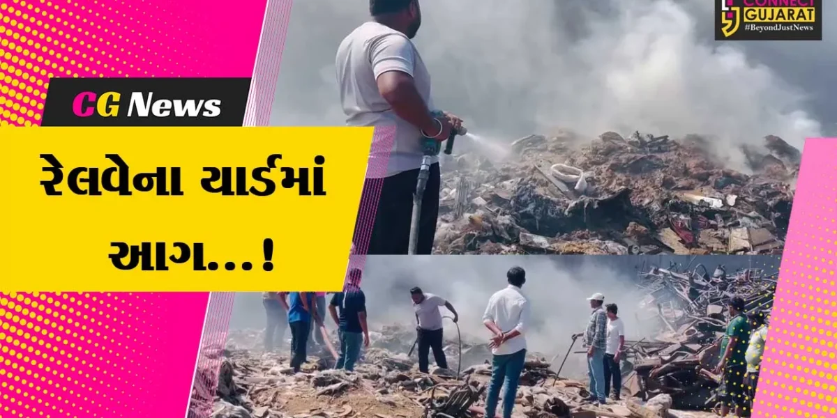 વલસાડ : પારડી રેલવે સ્ટેશનના યાર્ડમાં આગથી નાસભાગ મચી,ફાયર બ્રિગેડે આગ પર મેળવ્યો કાબુ