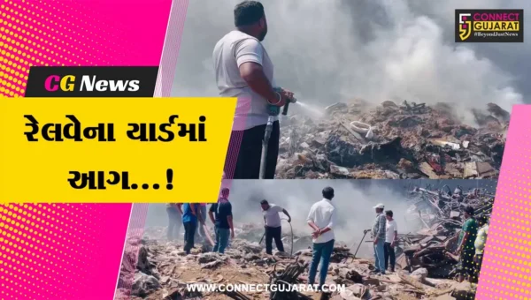 વલસાડ : પારડી રેલવે સ્ટેશનના યાર્ડમાં આગથી નાસભાગ મચી,ફાયર બ્રિગેડે આગ પર મેળવ્યો કાબુ