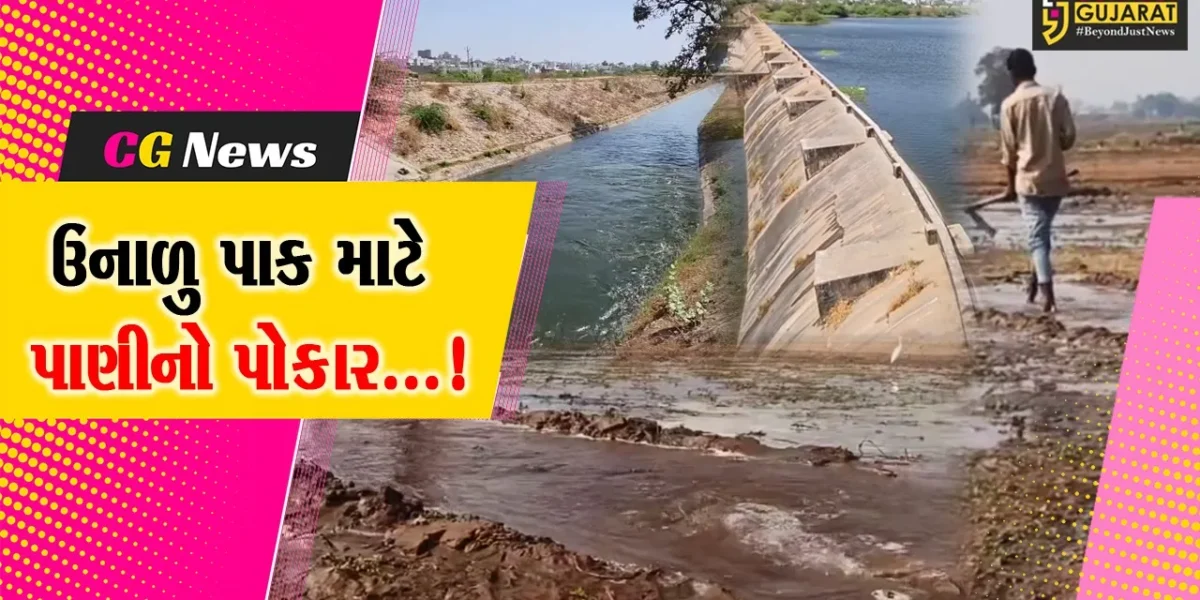 સાબરકાંઠા : ઉનાળાની શરૂઆત પહેલાં ખેડૂતોની ચિંતામાં વધારો, સિંચાઈ વિભાગ પાસે પાણી માટે કર્યો પોકાર