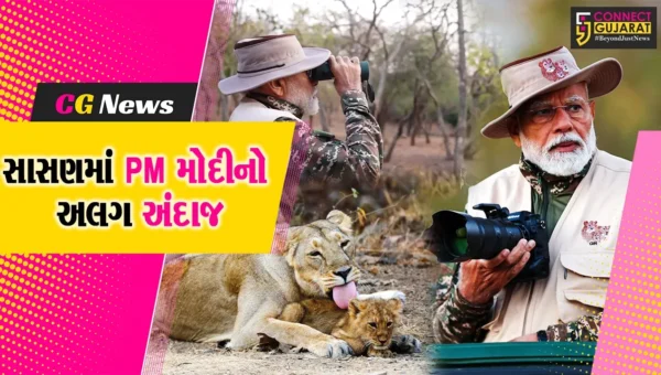 જૂનાગઢ : વડાપ્રધાન નરેન્દ્ર મોદીએ સાસણ ગીરમાં ‘વર્લ્ડ વાઇલ્ડ લાઇફ ડે’ની ઉજવણી સાથે સિંહ દર્શન કર્યા
