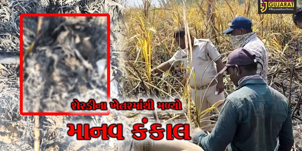 ઝઘડિયા : કરાડ ગામનાં શેરડીના ખેતરમાંથી માનવ કંકાલ મળી આવતા અરેરાટી વ્યાપી,સ્થાનિક ગામની કોઈ યુવતી હોવાની આશંકા!