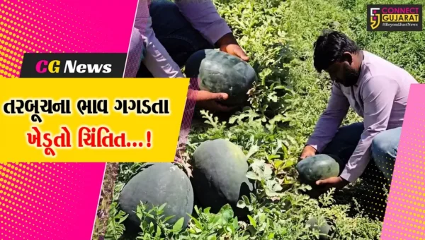 સાબરકાંઠા : રાજ્ય બહારથી તરબુચની આવકમાં વધારો થતા ભાવમાં થયો ઘટાડો,ખેડૂતોએ આર્થિક નુકસાનની ચિંતા