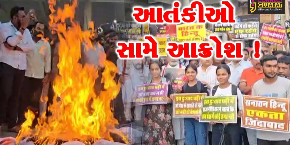 ભરૂચ: ઓરિયન આર્કેડ ખાતે શહીદોને શ્રદ્ધાંજલિ, પાકિસ્તાનના પૂતળાનું દહન