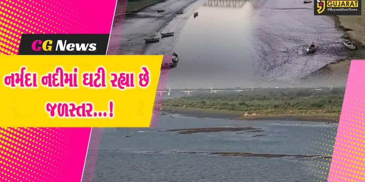 ભરૂચ : શું સુકાઈ રહયા છે નર્મદા નદીનાં જળસ્તર! નદીમાં પાણીનું સ્તર ઘટતા બેટ સમાન દ્રશ્યોથી ચિંતા