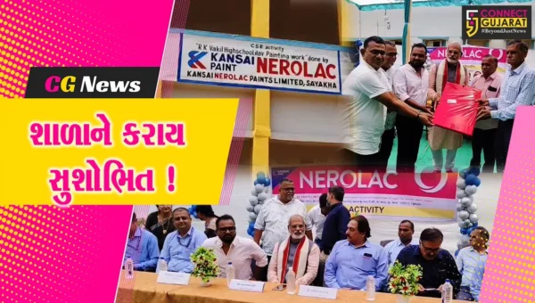 ભરૂચ:હાંસોટના ઇલાવ ગામની RK વકીલ હાઈસ્કૂલને રંગોરોગાન કરાયુ, ભાજપ પ્રમુખ પ્રકાશ મોદીના હસ્તે કરાયુ ઉદ્ઘાટન