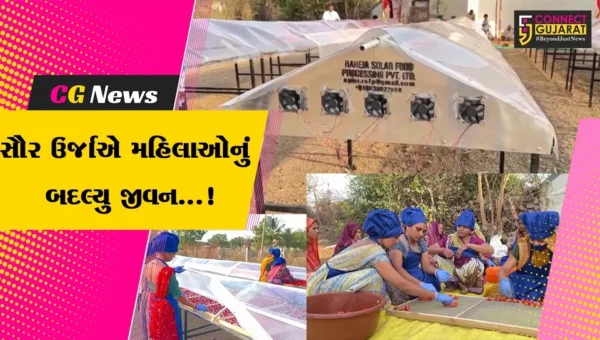 ભાવનગર : સોલાર ડ્રાયરની મદદથી મહિલાઓ બની આત્મનિર્ભર,સૌર ઉર્જાથી આર્થિક રીતે બન્યા સશક્ત