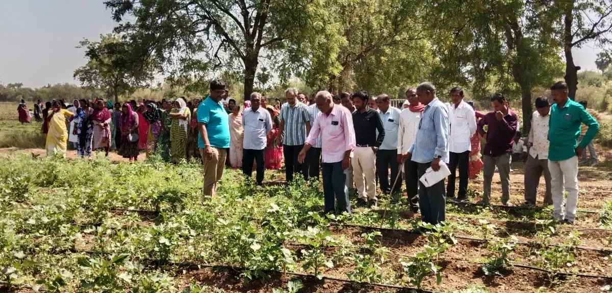 ભરૂચ: વાગરાના ૬ ગામોના ખેડૂતો અને બહેનોને હાલોલ પ્રાકૃતિક યુનિવર્સિટી અને અંબિકા ફાર્મની વિઝિટ કરાવવામાં આવી