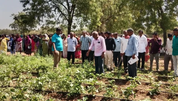 ભરૂચ: વાગરાના ૬ ગામોના ખેડૂતો અને બહેનોને હાલોલ પ્રાકૃતિક યુનિવર્સિટી અને અંબિકા ફાર્મની વિઝિટ કરાવવામાં આવી