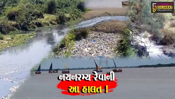 ભરૂચ: દર્શનમાત્રથી પાપ મુક્ત કરતી નર્મદા નદી જ થઈ રહી છે “અપવિત્ર”, નિહાળો Special Report