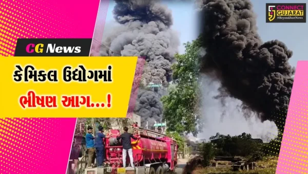 અંકલેશ્વર : ઔદ્યોગિક વસાહતની ગ્લીન્ડિયા કેમિકલ્સમાં ભીષણ આગના પગલે નાસભાગ મચી,ધુમાડાના ગોટેગોટા ઉડ્યા