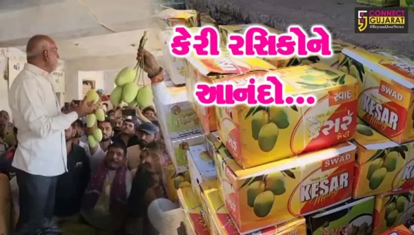 ગીર સોમનાથ : તાલાલા માર્કેટિંગ યાર્ડમાં કેસર કેરીની “ENTRY”, હરાજીના પ્રથમ દિવસે 10 હજાર બોક્સની આવક