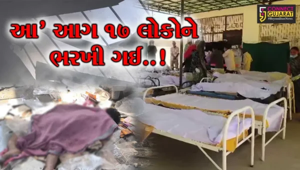 બનાસકાંઠા : પ્રચંડ વિસ્ફોટ સાથે ફટાકડા ફેક્ટરી ભડકે’ બળી, 17 લોકોના મોત, 5 ઇજાગ્રસ્તો સારવાર હેઠળ…