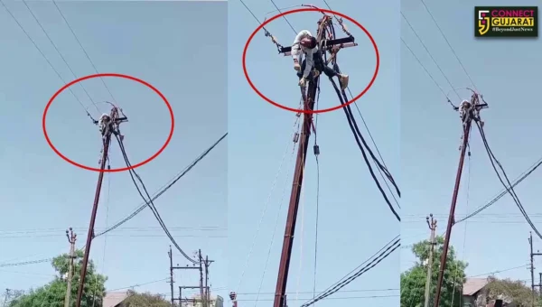 ભરૂચ: સીમલિયા ગામે DGVCLની એગ્રીકલચર લાઇન પર વીજ કંપનીના 2 કર્મચારીઓને લાગ્યો કરંટ, સારવાર અર્થે ખસેડાયા