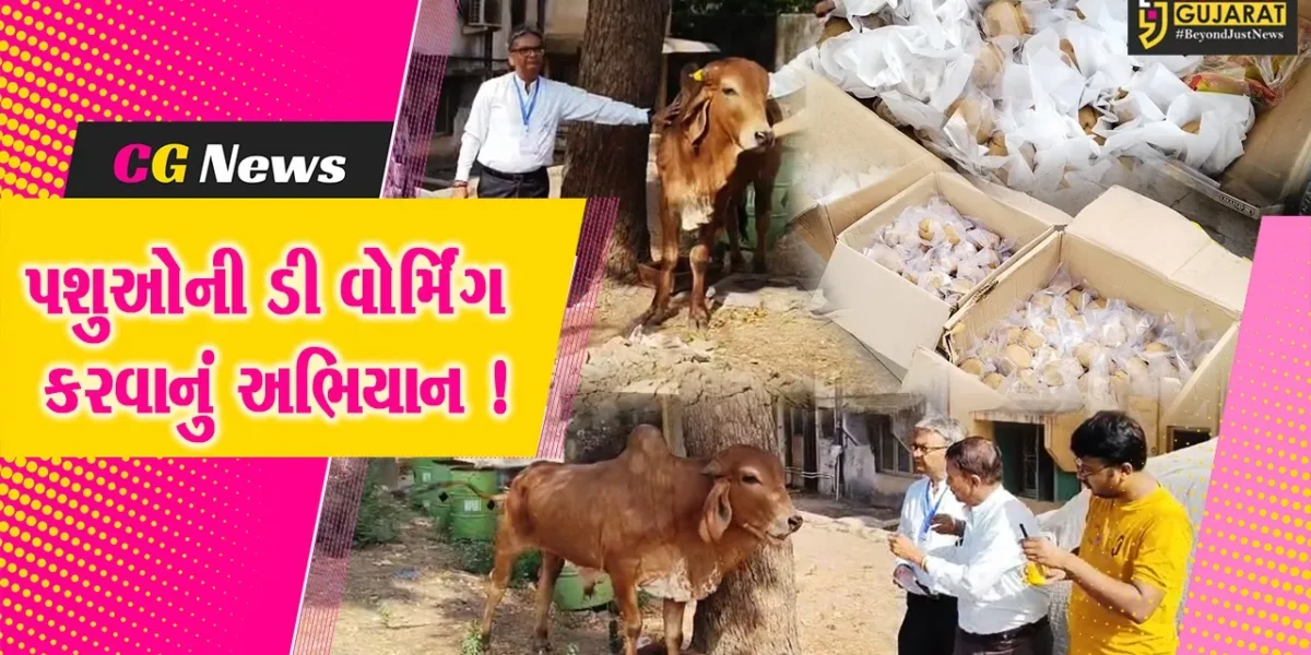 ભરૂચ: 800થી વધુ ગૌ વંશ- શ્વાનોને ડી વોર્મિંગની દવા આપવાનું મહાઅભિયાન, પેટ અને ચામડીના રોગમાં મળે છે રાહત