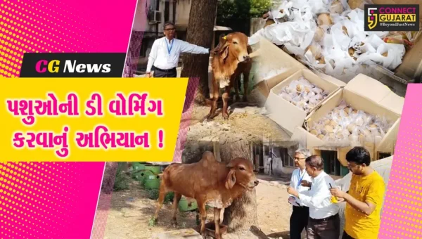 ભરૂચ: 800થી વધુ ગૌ વંશ- શ્વાનોને ડી વોર્મિંગની દવા આપવાનું મહાઅભિયાન, પેટ અને ચામડીના રોગમાં મળે છે રાહત