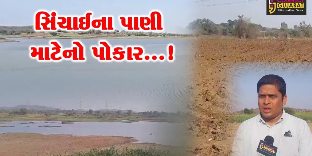 ભરૂચ : નેત્રંગ તાલુકાના 120થી વધુ ગામડાઓ સિંચાઇના પાણીથી વંચિત,ડેમ અને કેનાલનાં સમારકામની માંગ કરતા ખેડૂતો