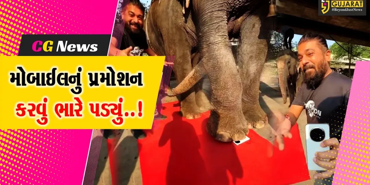 સુરત : હાથીના પગ નીચે મોબાઈલ રખાવી પ્રમોશન કરતો વિડિયો વાયરલ, દુકાન માલિક વિરુદ્ધ વન વિભાગની કાર્યવાહી…