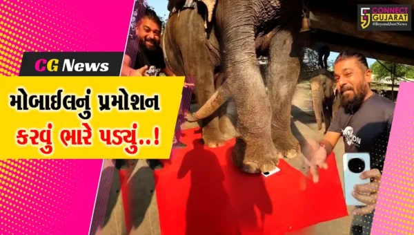 સુરત : હાથીના પગ નીચે મોબાઈલ રખાવી પ્રમોશન કરતો વિડિયો વાયરલ, દુકાન માલિક વિરુદ્ધ વન વિભાગની કાર્યવાહી…