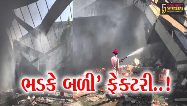 બનાસકાંઠા : વિસ્ફોટક પદાર્થમાં ભડકો થતાં ફટાકડા ફેક્ટરીમાં લાગી ભીષણ આગ, 5થી વધુ શ્રમિકના મોતની આશંકા..!