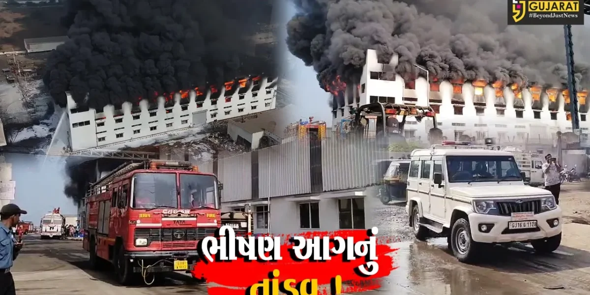 અંકલેશ્વર: નેશનલ ફાયર સર્વિસ દિવસે જ પાનોલીમાં 2 કંપનીમાં ભીષણ આગ, અફરાતફરીનો માહોલ !