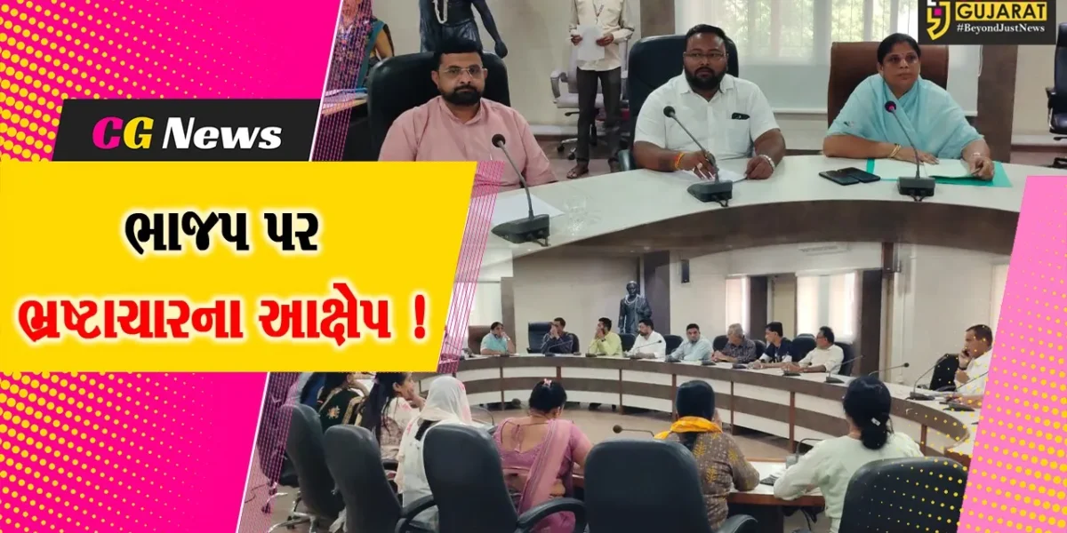 અંકલેશ્વર: નગર સેવા સદનની સામાન્ય સભા યોજાય, વિપક્ષ સહિત શાસક પક્ષના સભ્યએ પણ કામ ન થતા હોવાના કર્યા આક્ષેપ