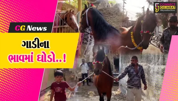 જુનાગઢ : મોંઘીદાટ કારના ભાવમાં બિહાર-પટનાના અશ્વપાલકે કરી કાઠીયાવાડી અશ્વની ખરીદી…