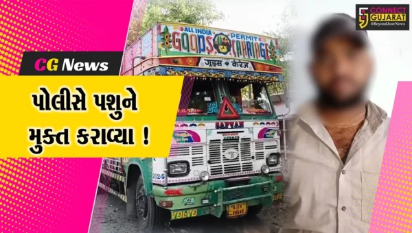 અંકલેશ્વર: NH 48 પરથી ક્રૂરતા પૂર્વક ટ્રકમાં લઇ જવાતા 62 બકરા પોલીસે મુક્ત કરાવ્યા, ટ્રકચાલકની ધરપકડ