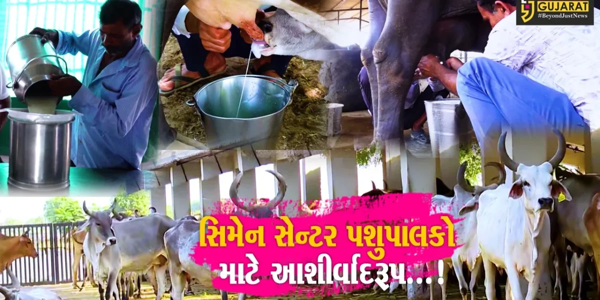 બનાસ ડેરીનું સિમેન સેન્ટર પશુપાલકો માટે આશીર્વાદરૂપ,સેક્સ શોર્ટીંગ મશીનથી વાછરડીના જન્મનાં દરમાં થશે વધારો