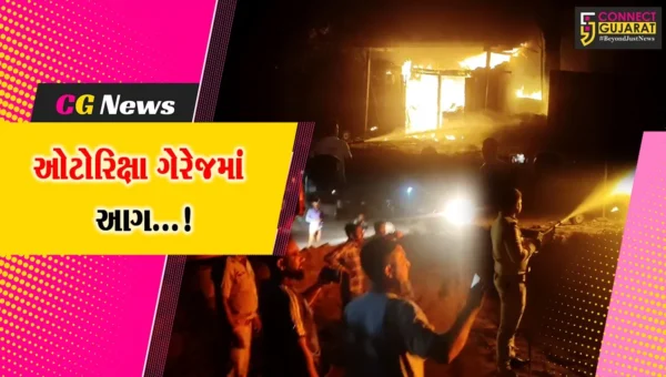 ભરૂચ : જંબુસરના રિક્ષા ગેરેજમાં અચાનક આગ ભભૂકી ઉઠતા નાસભાગ મચી,ફાયર બ્રિગેડે આગ પર મેળવ્યો કાબુ