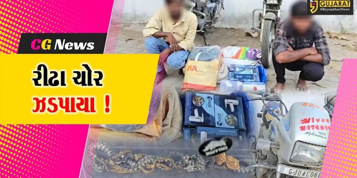 ભરૂચ:સી ડિવિઝન પોલીસે ચોરીના ગુનામાં સંડોવાયેલ 2 રીઢા ચોરની કરી ધરપકડ, ચોરીમાં 6 ગુનાનો ભેદ ઉકેલાયો