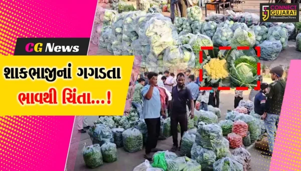 સાબરકાંઠા : ફુલાવર, કોબીજ, ટામેટા સહિત અન્ય શાકભાજીનાં ઉત્પાદન સામે પોષણક્ષમ ભાવનાં અભાવથી ખેડૂતોમાં ચિંતા