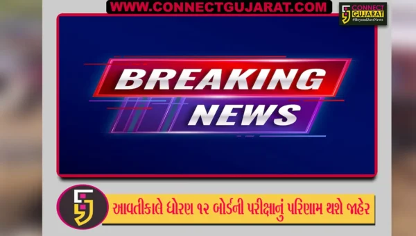ગુજરાત શિક્ષણ બોર્ડ દ્વારા સોમવારે જાહેર થશે ધોરણ 12નું પરિણામ, રાજ્ય શિક્ષણમંત્રીએ કરી જાહેરાત