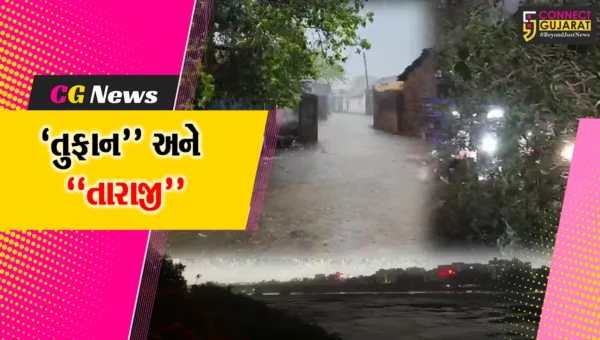 તુફાન અને તારાજી : ભારે પવન સાથે “માવઠું” આવતા રાજ્યભરમાં નુકશાન, વૃક્ષો-લગ્ન મંડપો સહિત અનેક હોર્ડિંગ્સ ધરાશાયી થયા…