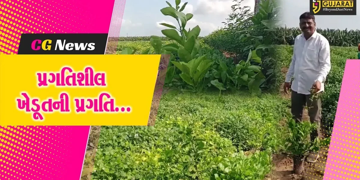 ગુજરાતમાં પ્રથમ વખત ભરૂચ-ઝઘડિયાના પાણેથા ગામના ખેડૂતે કરી બ્રાઝિલની નડાલ મોસંબીની સફળ ખેતી…