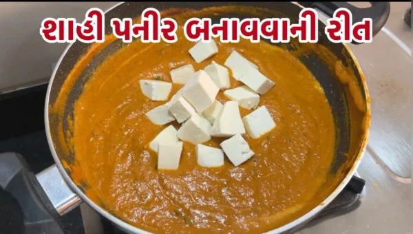 ઢાબા સ્ટાઈલમાં ઘરે જ બનાવો આ રીતે શાહી પનીર, એક વાર ખાશો વારંવાર કરશો યાદ