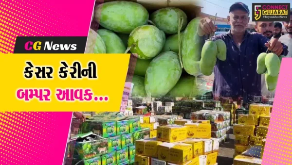 કેસર કેરીથી ઉભરાયું જુનાગઢનું APMC માર્કેટ, એક જ દિવસમાં કેરીના રેકોર્ડ બ્રેક 28 હજાર બોક્સની આવક…