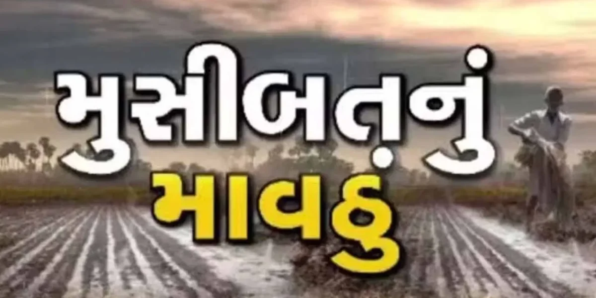 કેરી સહિત શક્કર ટેટીનો વળ્યો સોંથ, કમોસમી વરસાદે ફેરવી ખેતી પાકની ‘પથારી’, ખેડૂતો બન્યા લાચાર