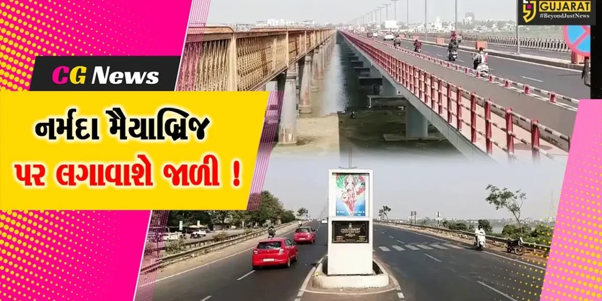 ભરૂચ: નર્મદા મૈયા બ્રિજની બન્ને તરફ રૂ.1.84 કરોડના ખર્ચે જાળી લગાવવામાં આવશે, રાજ્ય સરકાર દ્વારા અપાઈ મંજૂરી