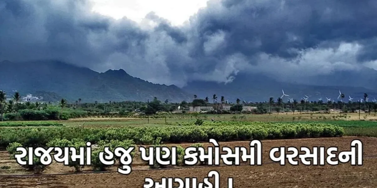 હવામાન વિભાગની આગાહી: પાંચ દિવસ માછીમારોને દરિયો ન ખેડવા ચેતવણી