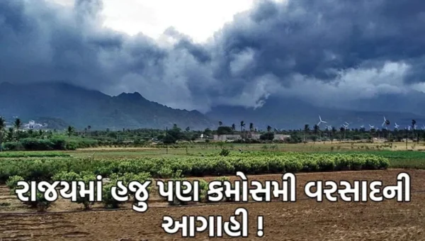 હવામાન વિભાગની આગાહી: પાંચ દિવસ માછીમારોને દરિયો ન ખેડવા ચેતવણી