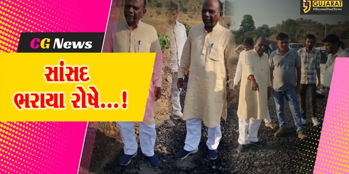ઝઘડિયા : ગ્રામ્ય વિસ્તારમાં બની રહેલા માર્ગનું સાંસદે કર્યું નિરીક્ષણ, કામગીરીમાં ગોબાચારી આવી બહાર