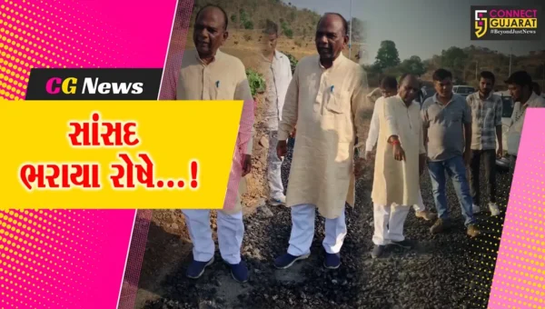 ઝઘડિયા : ગ્રામ્ય વિસ્તારમાં બની રહેલા માર્ગનું સાંસદે કર્યું નિરીક્ષણ, કામગીરીમાં ગોબાચારી આવી બહાર