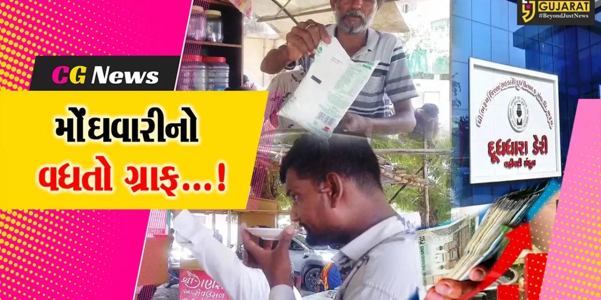 ભરૂચ : જીવન જરૂરિયાતની ચીજવસ્તુઓના ભાવ વધારાથી સામાન્ય લોકોની મુશ્કેલી વધી, હવે અમૂલ દૂધના ભાવમાં પ્રતિ લિટર રૂ.2નો વધારો