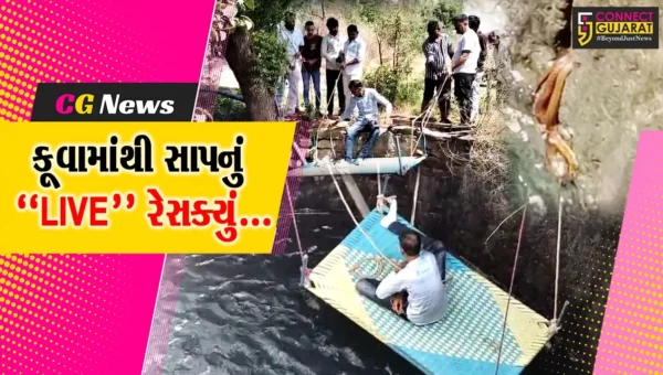 સુરેન્દ્રનગર : રાજપર ગામે 120 ફૂટ ઉંડા કૂવામાં રહેલા 3 સાપને જીવદયા પ્રેમીઓએ સુરક્ષિત બહાર કાઢ્યા, જુઓ “LIVE” રેસક્યું…