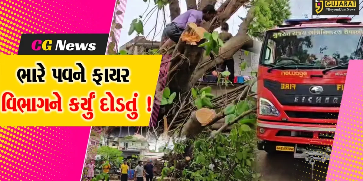 ભરૂચ: ભારે પવન અને વરસાદના કારણે ભારે તબાહી, ફાયર વિભાગ લાગ્યું કામે