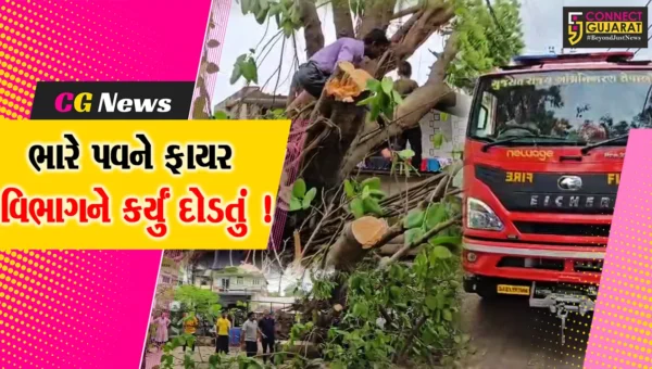 ભરૂચ: ભારે પવન અને વરસાદના કારણે ભારે તબાહી, ફાયર વિભાગ લાગ્યું કામે