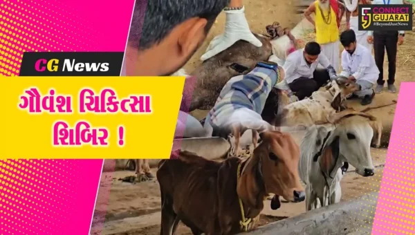 ભરૂચ: સાર્થક ફાઉન્ડેશન ચેરીટેબલ ટ્રસ્ટ દ્વારા ગૌવંશ ચિકિત્સા શિબિર યોજાઈ