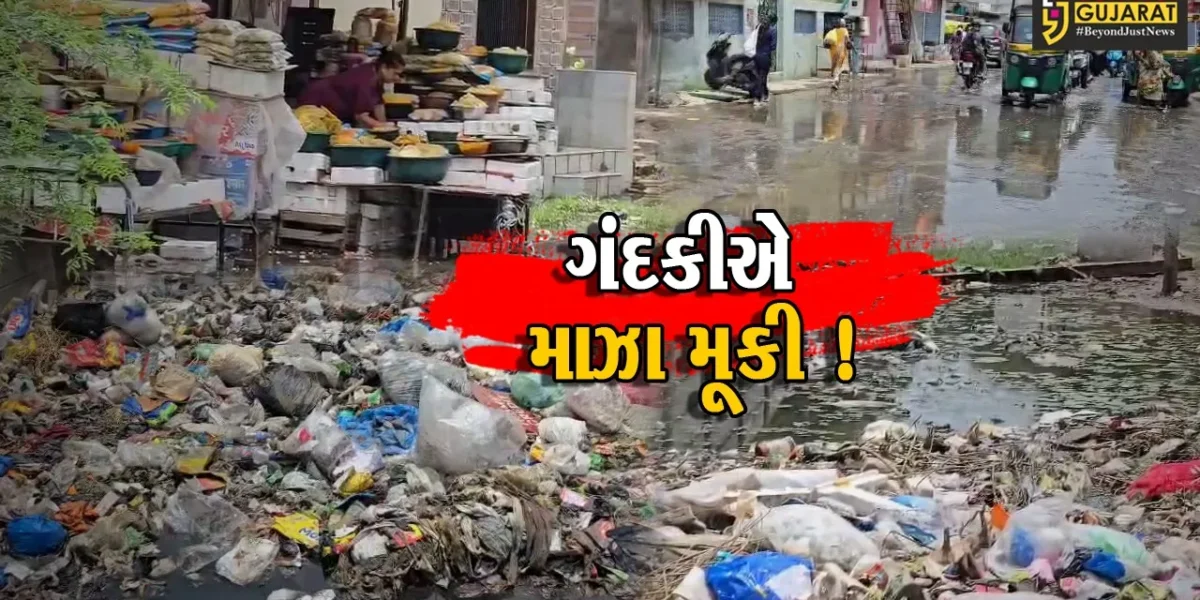 ભરૂચ: વરસાદી માહોલ વચ્ચે ફાંટા તળાવ વિસ્તારમાં ગંદકીએ માઝા મૂકી, સ્થાનિકો ત્રાહિમામ