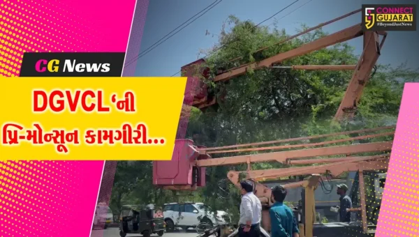 અંકલેશ્વર : DGVCL’ની પ્રિ-મોન્સૂન કામગીરી, વીજ વાયરોને નડતરરૂપ ઝાડની ડાળીઓ દૂર કરાય…
